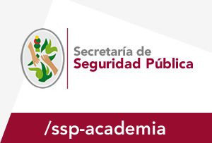 Secretaría de Seguridad Pública