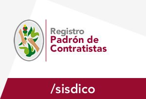 Padrón de Contratistas