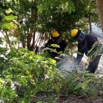 Sofoca Bomberos incendios en San Agustín y Real Hacienda