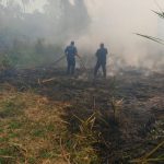 Controla Bomberos incendio en Llano Largo
