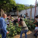 Impulsa DIF Acapulco cultivo de huertos en escuelas