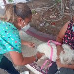 Aplica Ayuntamiento vacuna antirrábica en El Coloso