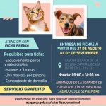 Pondrá en marcha Abelina López, campaña de esterilización para perros y gatos