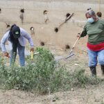 Redobla Gobierno de Abelina López,  limpieza de canales pluviales