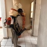 Redobla gobierno de Abelina López Rodríguez  acciones preventivas para combatir dengue, zika y chikungunya