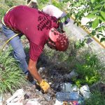 Realiza gobierno de Abelina López Rodríguez limpieza en acantilados de Sinfonía del Mar