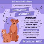 Busca gobierno de Abelina López Rodríguez evitar sobrepoblación de perros y gatos