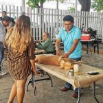 Mantiene Gobierno de Abelina López Rodríguez campaña de esterilización canina y felina