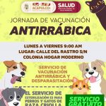 Convoca Salud Municipal a su Jornada de Vacunación Antirrábica