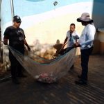 Recolecta Gobierno de Acapulco mil 200 toneladas de basura por celebración de Año Nuevo.