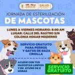 Reactiva Gobierno Municipal jornada de esterilización a mascotas.