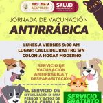 Arranca Gobierno de Acapulco jornada de esterilización de mascotas.