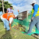 Embellece Gobierno de Abelina López Rodríguez camellón de la franja turística.