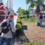 Embellece Gobierno Municipal áreas verdes en accesos a playa.