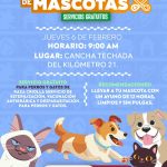 Alista Gobierno de Abelina López Rodríguez jornada itinerante de esterilización de mascotas.