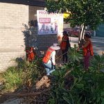 Continúa Gobierno de Abelina López Rodríguez erradicación de puntos negros de basura.