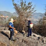 Sofoca Gobierno de Acapulco y otras instancias incendio en El Veladero.