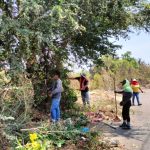 Limpia Gobierno de Abelina López Rodríguez áreas verdes en accesos a la ciudad