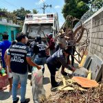 Refuerza Gobierno de Abelina López Rodríguez prevención contra el dengue en Ciudad Renacimiento
