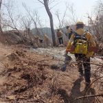 Sofoca Gobierno de Abelina López Rodríguez incendio forestal en Rinconada del Mar