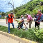 Reforesta Gobierno de Abelina López Rodríguez localidad de Puerto Marqués.