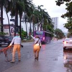 Realiza Secretaría de Seguridad Pública labores de limpieza para garantizar el libre tránsito durante el paso de la tormenta tropical "Dalila”