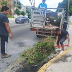 Mantiene Gobierno de Abelina López Rodríguez operativos de limpieza en Acapulco
