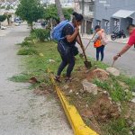 Realiza Gobierno de Abelina López Rodríguez limpieza y mantenimiento de áreas verdes en Costa Azul
