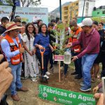 Continúa Abelina López Rodríguez el "Programa Municipal de Arborización Masiva" en el tramo Cima-"Y"