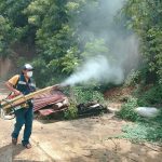 Refuerza Abelina López Rodríguez prevención contra el dengue en Ciudad Renacimiento