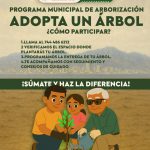 Promueve Gobierno Municipal la arborización de Acapulco
