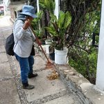 Gobierno Municipal refuerza operativos de limpieza tras lluvias en la ciudad