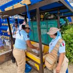 Policía Turística protege la vida marina durante la temporada de desove en Acapulco
