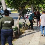 Embellece Gobierno de Acapulco áreas verdes en Costa Azul, Zapata y Renacimiento