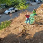 Intensifica Gobierno de Acapulco limpieza de camellones y áreas verdes