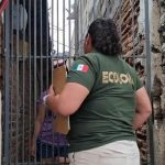 Rescata Ecología a canina en riesgo tras denuncia por maltrato en La Sabana