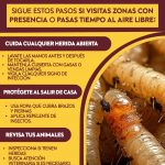 Descarta Salud Acapulco riesgo en humanos por gusano barrenador