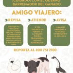 Intensifica Gobierno de Acapulco prevención de la miasis por gusano barrenador