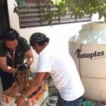 Concreta Ecología adopción de dos caninos rescatados por maltrato en Renacimiento