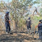 Sofocan Bomberos incendio forestal en la colonia Frontera