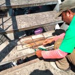 Rehabilita Gobierno de Acapulco puentes peatonales en La Cima y 20 de Noviembre