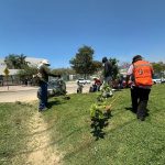 Embellece Gobierno de Acapulco accesos principales al puerto