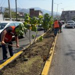 Mejora Gobierno de Acapulco áreas verdes en Pie de la Cuesta