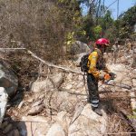 Sofocan Bomberos de Acapulco incendio forestal en El Veladero
