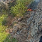 Sofocan Bomberos incendios en Garita y Praderas de Costa Azul