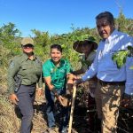 Planta Gobierno de Acapulco 500 árboles en El Veladero