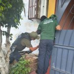 Rescata Policía Ambiental de la SSP Acapulco a felino y logra adopción exitosa