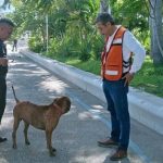 Resguardan Ecología y Policía Turística a perro en condición de abandono