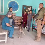 Se rescata a canino en situación de maltrato y abandono en la colonia La Máquina; se mantiene bajo resguardo