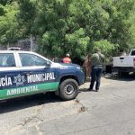 Promueve Gobierno de Acapulco entornos limpios en Alta Progreso
